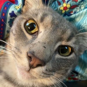 Meet your Posher, Angelina